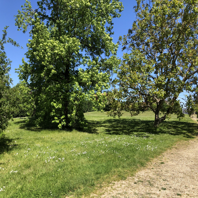 Offres de vente Terrain Vayres (33870)